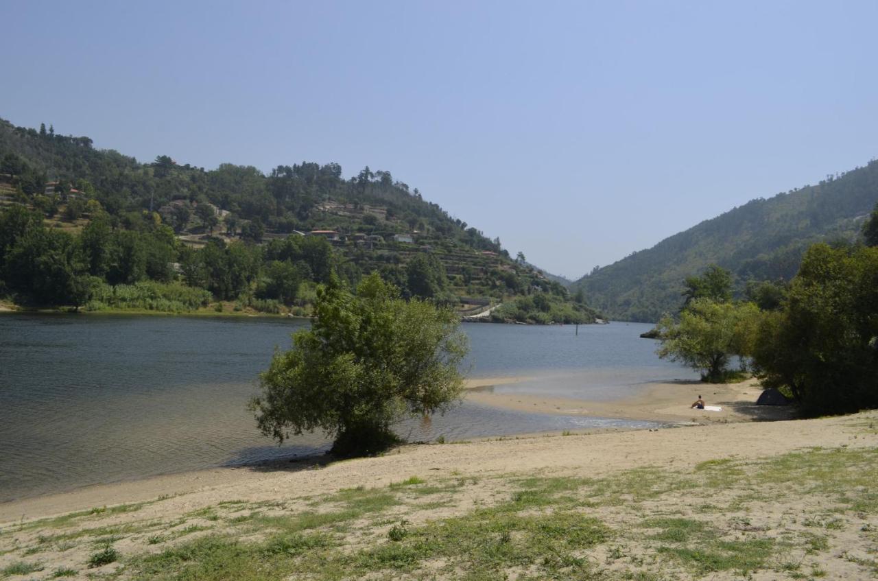 辛方伊什Encosta Do Douro - Rio Douro别墅 外观 照片