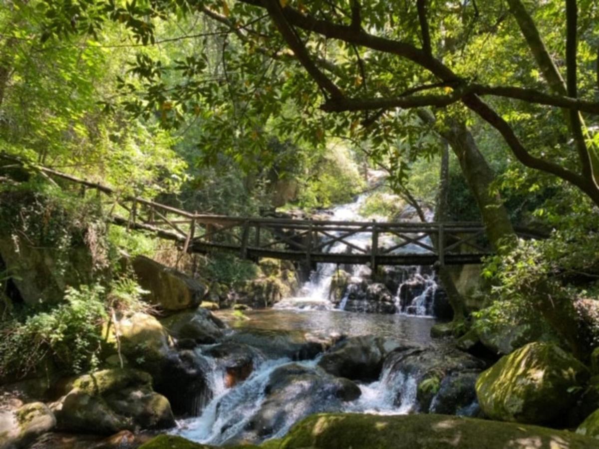 辛方伊什Encosta Do Douro - Rio Douro别墅 外观 照片