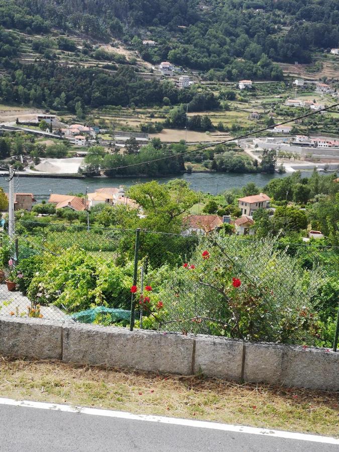 辛方伊什Encosta Do Douro - Rio Douro别墅 外观 照片