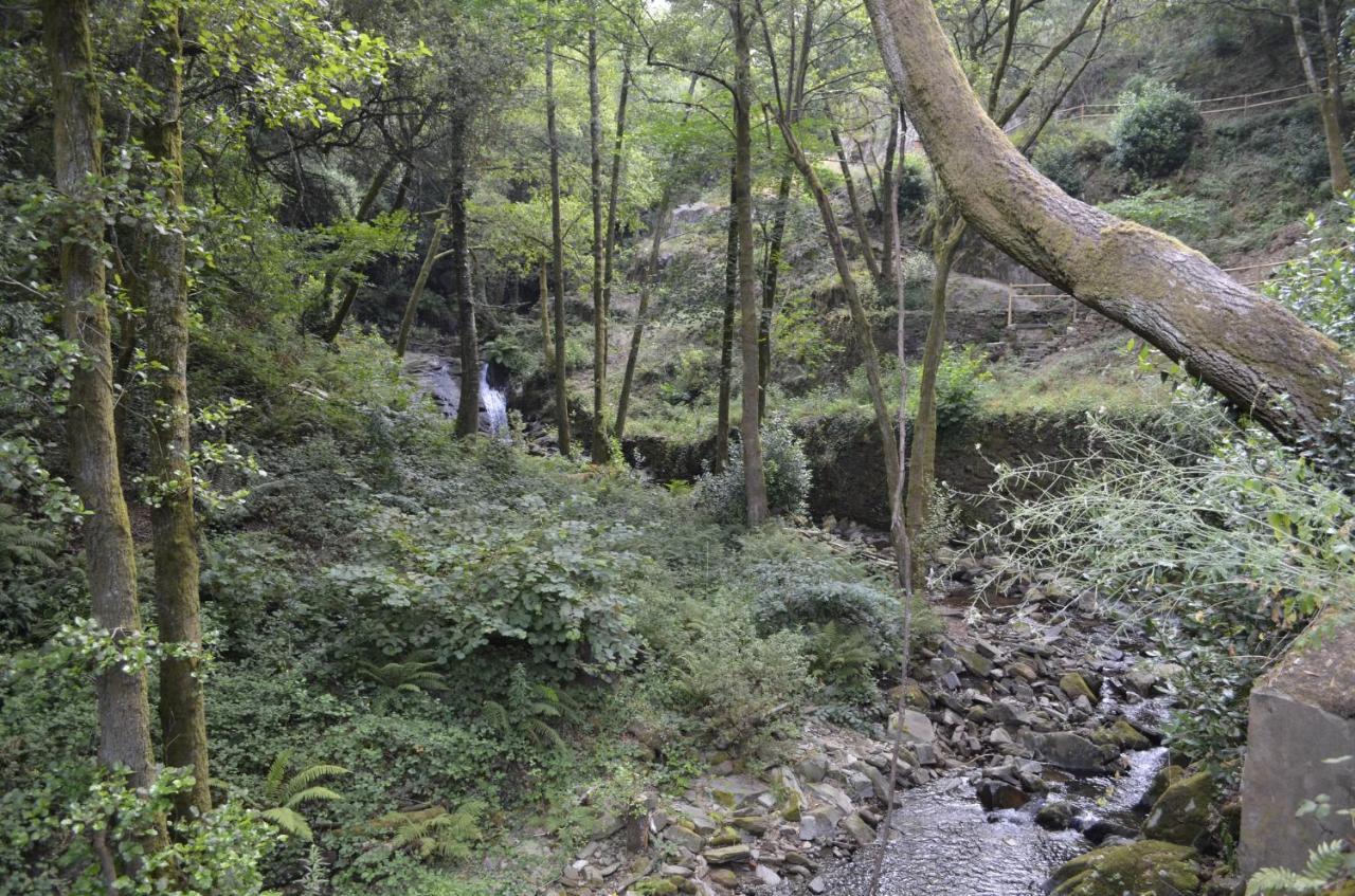 辛方伊什Encosta Do Douro - Rio Douro别墅 外观 照片