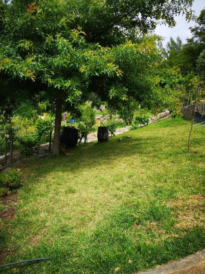 辛方伊什Encosta Do Douro - Rio Douro别墅 外观 照片
